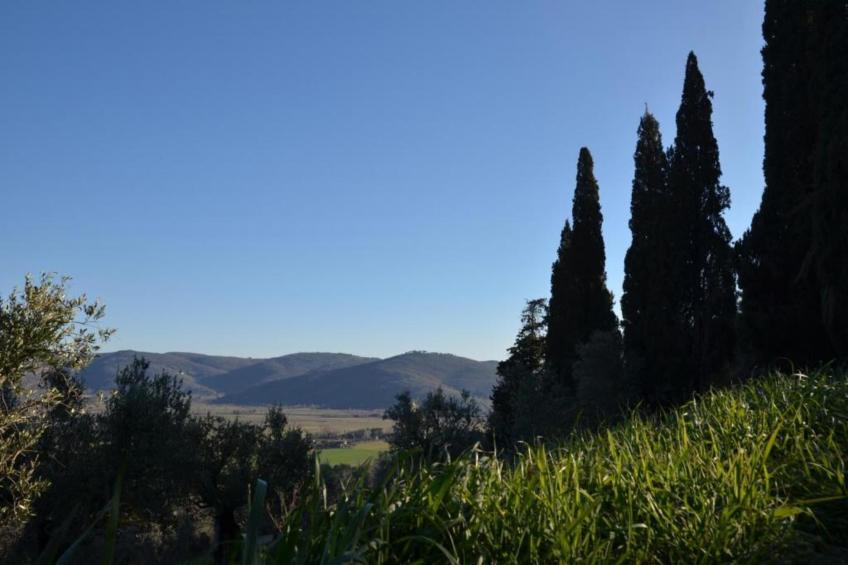 Villa Berta - foto 22