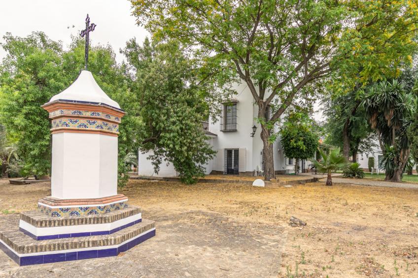 Las Codornices - foto 48