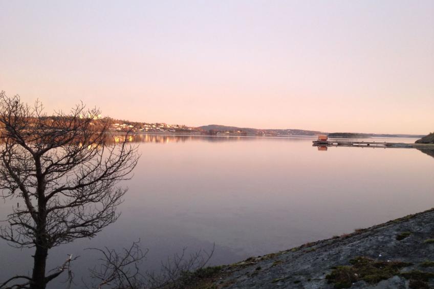 Wunderschönes Haus in einer fantastischen Natur am Meer - foto 15
