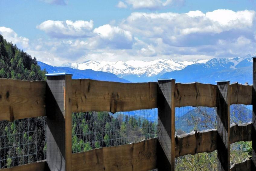 Maso Tòttn - foto 35