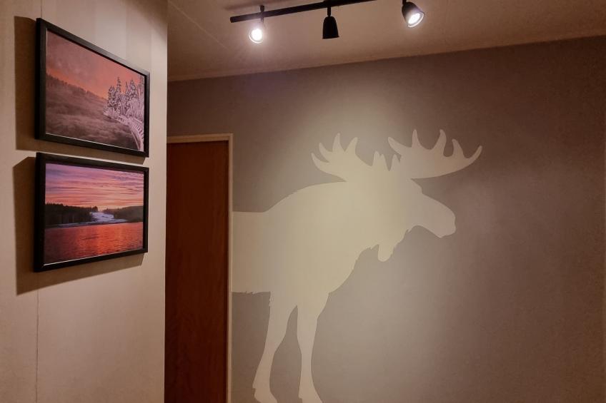 Villa Moose - foto 6