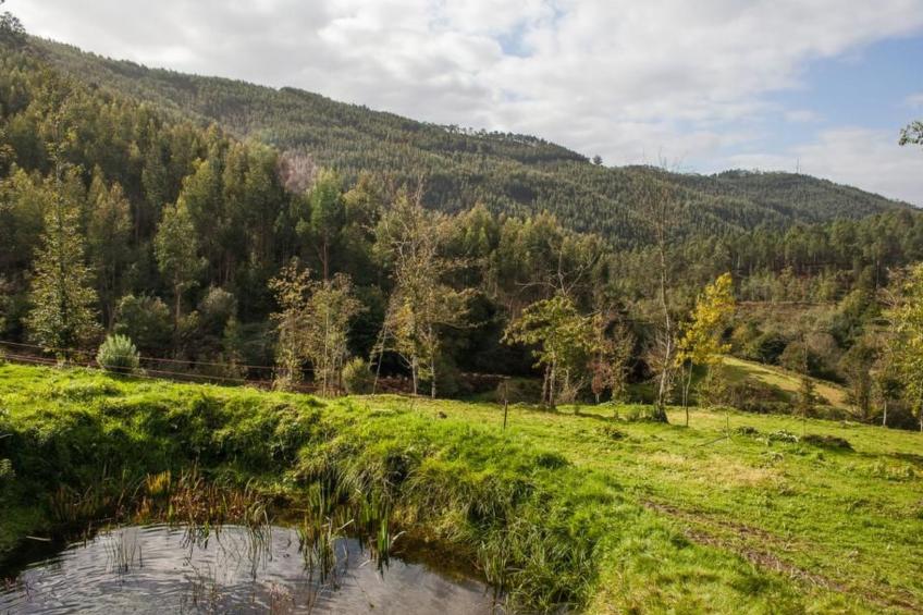 Villa mit Garten, Grill und Terrasse - foto 43