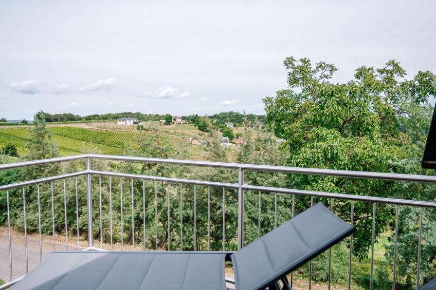 dasWeinbergblick - Landhaus dasThomas - foto 10