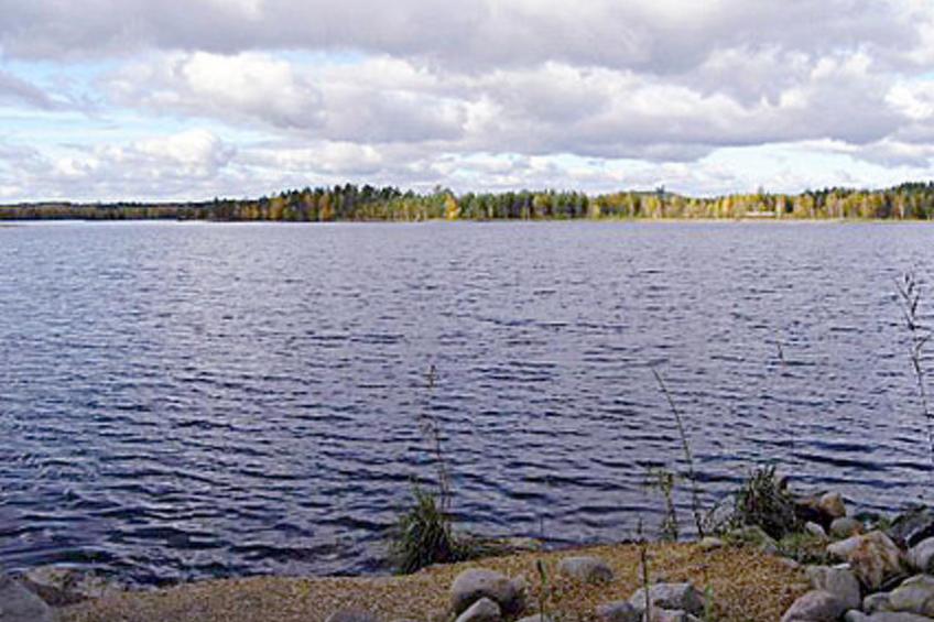 Varvali - foto 46