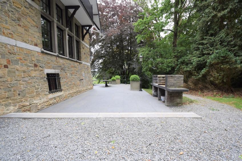 Le Château et les Forêts - foto 33