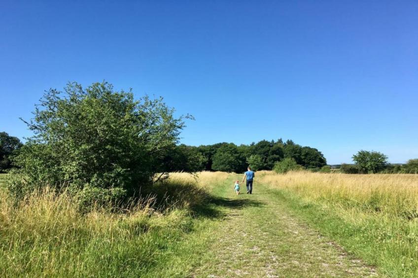 La Pierraille - foto 25