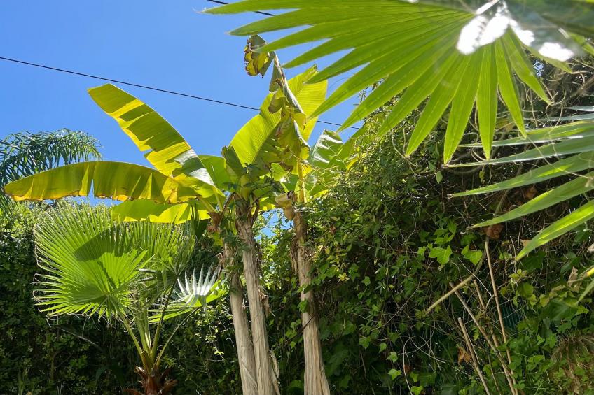 Casa Porto do Son - foto 18