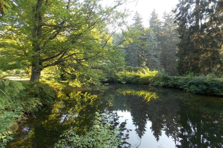 Bad Elster - foto 35