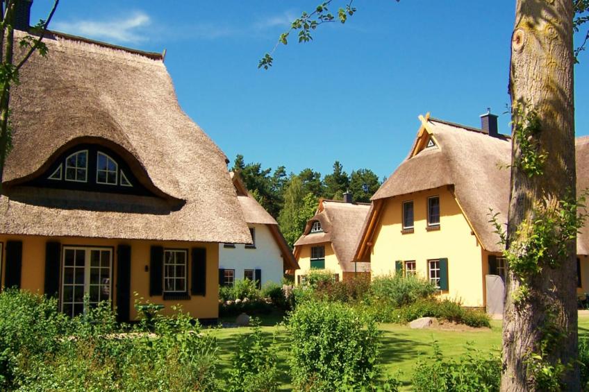 Ferienhaus Küstenwald klein - Strandhotel Fischland - foto 5