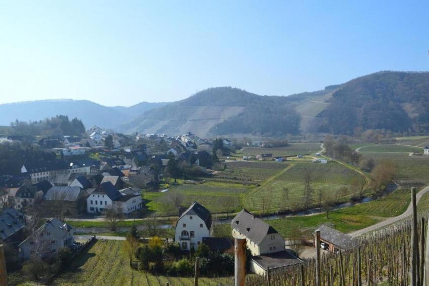 Hubertusstube - foto 23