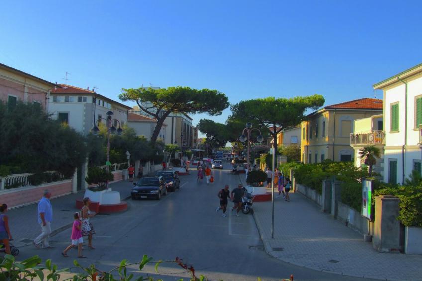 Castagneto 2 - foto 40