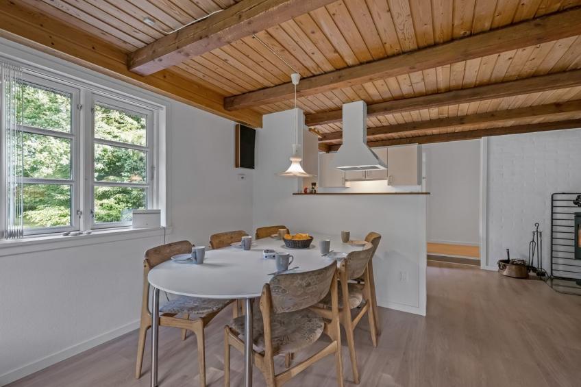 "Fina" - 15km from the sea in Western Jutland - foto 30