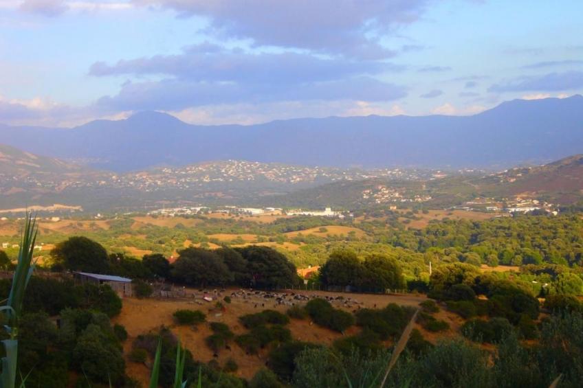 mit Blick auf das Wasser - foto 18