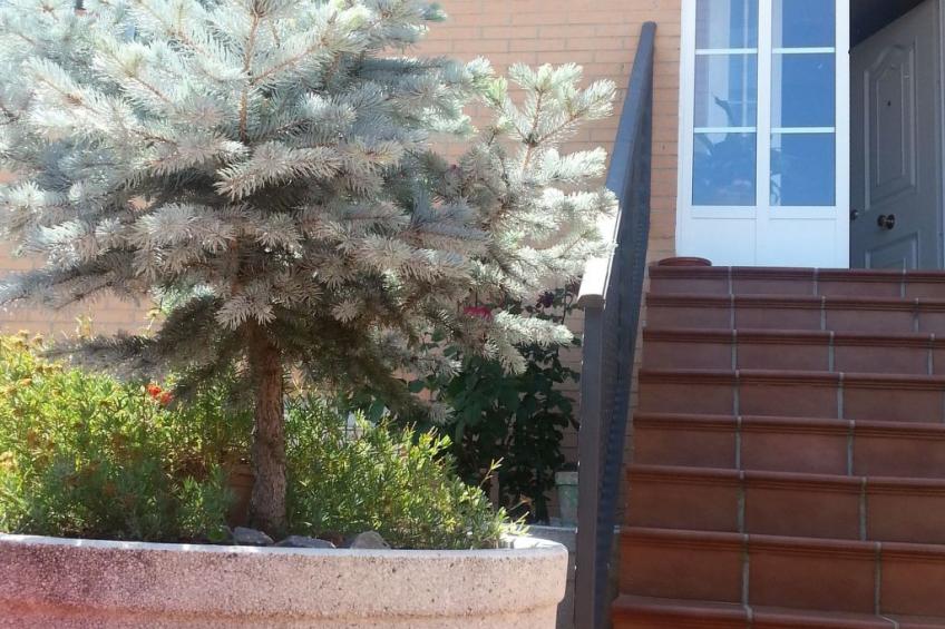 Montesol-Ferienwohnung - foto 5