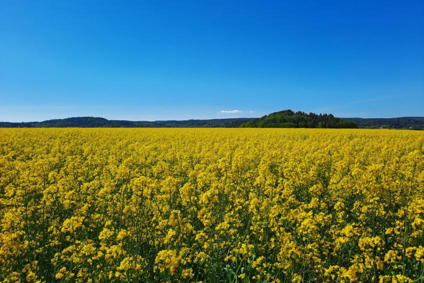 Bauernhaus-Wohnung bei Göta Älv in der Nähe von Göteborg - foto 25
