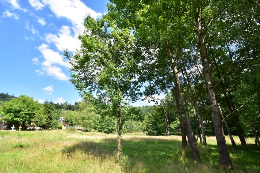 Chalet - TURQUESTEIN - foto 25