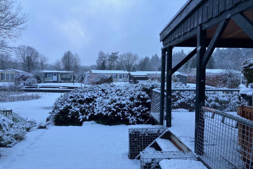 Knus chalet In een rustige omgeving met vijver - foto 14