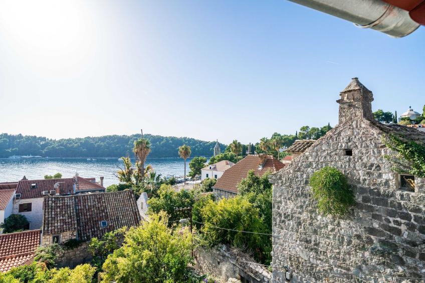 Villa Vista Old Town - Four Bedroom House with Terrace and Sea View - foto 20