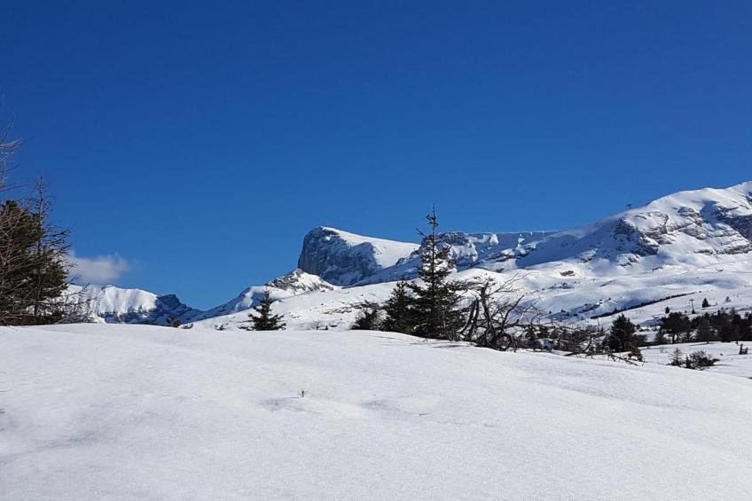 L'Orée des Pistes - foto 18