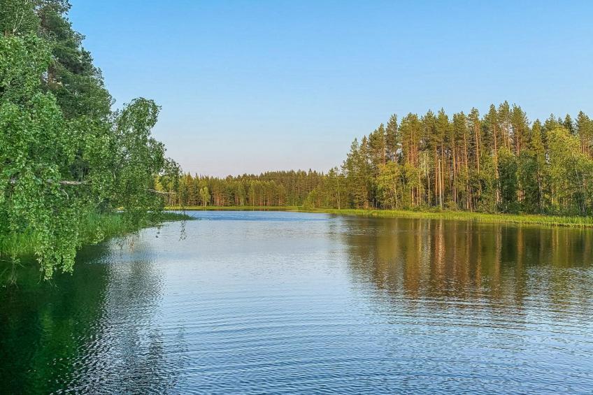 Majavanpesä - foto 4