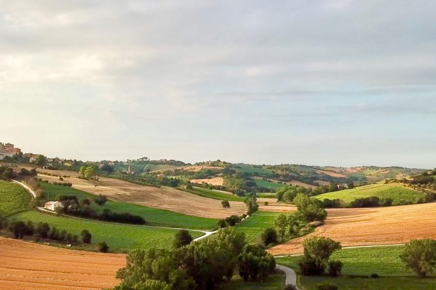 Haus in Ostra mit privatem Pool - foto 36