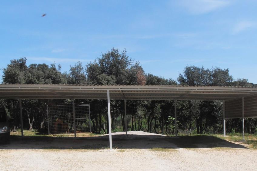 Superior Appartament - foto 38