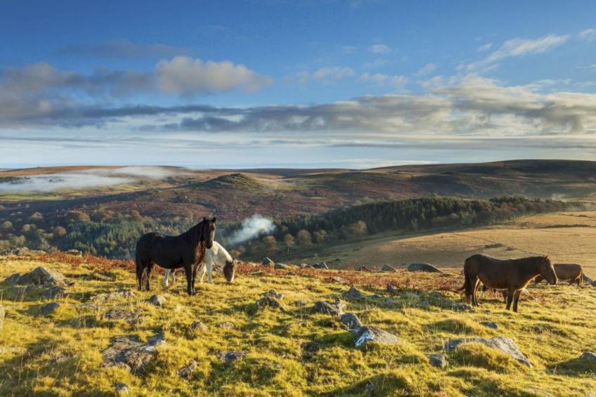 Gemütliches Familienhaus am Meer - foto 44