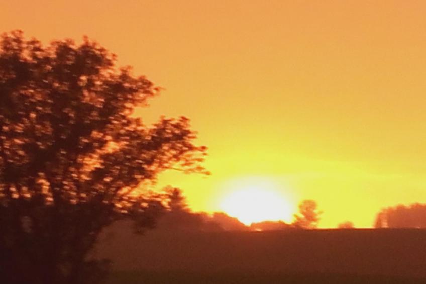 Wohnung mit großer Gartenterrasse und Ausblick - foto 10