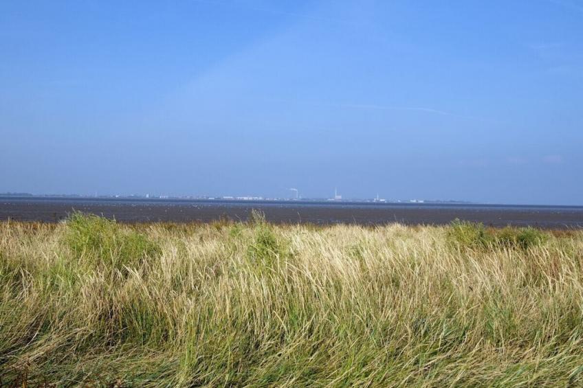 79366 - foto 22