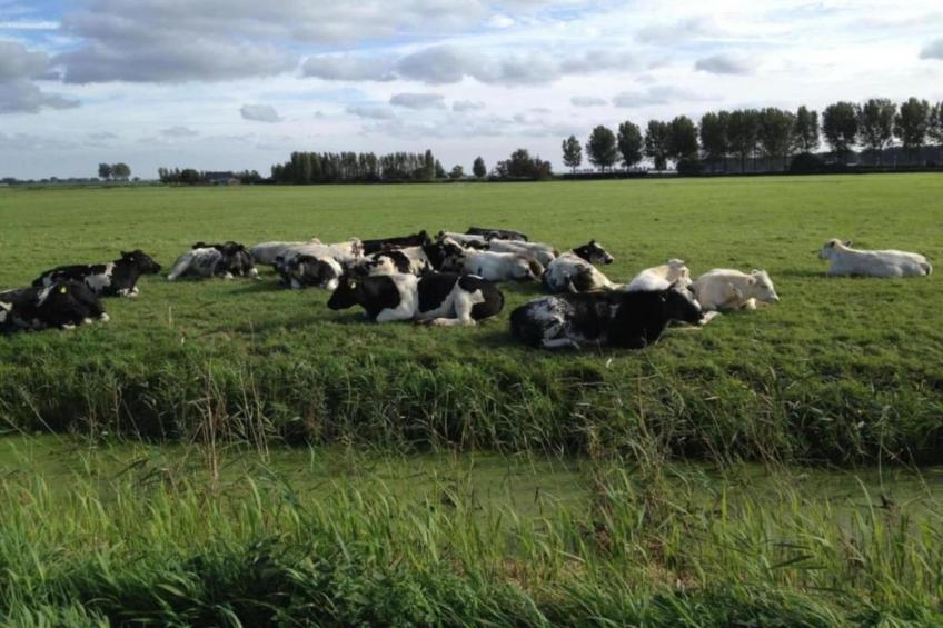 Standaard 308 - foto 34