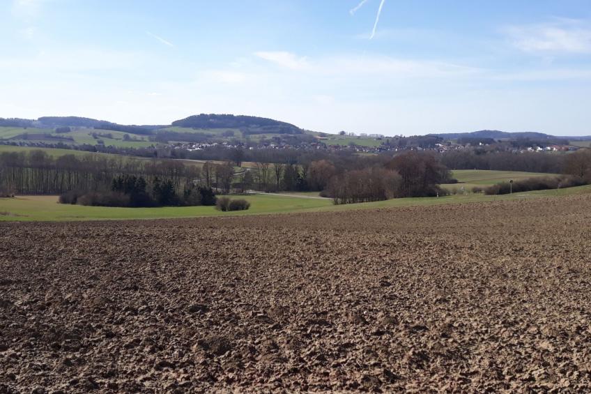 Hummelcasa - foto 43