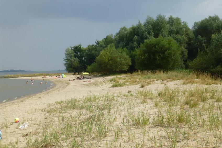 190669 - foto 19