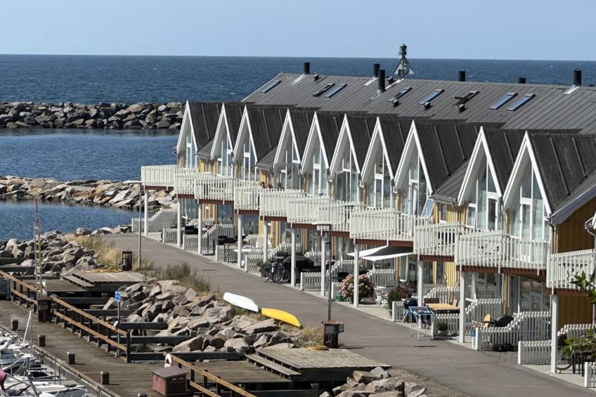 "Jirina" - 10m from the sea in Bornholm - foto 6