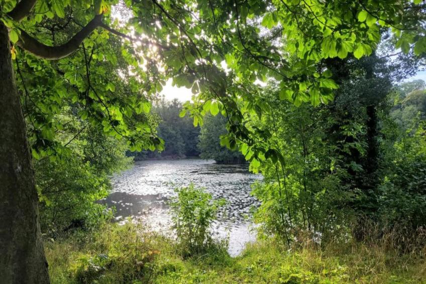 Meisdorf I - foto 35