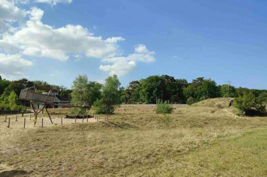 De Douglas - foto 25