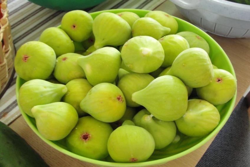 Apartments Villa Tanja - Two Bedroom Apartment with Terrace - foto 28