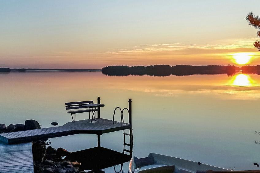 Puolen hehtaarin metsä - foto 25