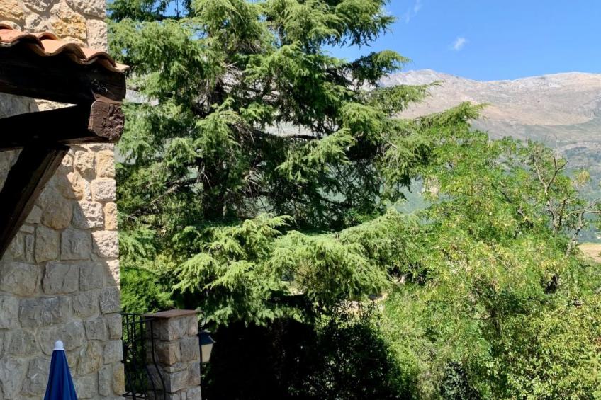 Steinhaus Garten und Blick auf die Berge - foto 13