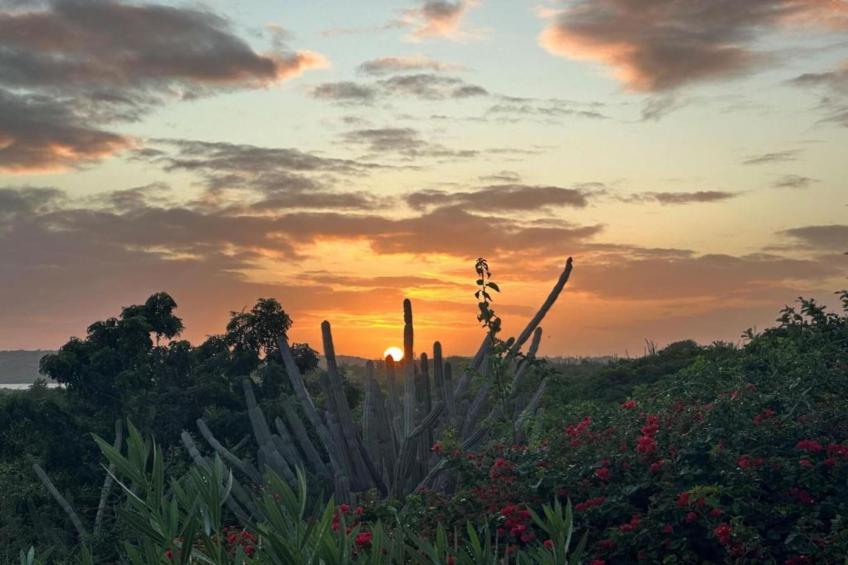 Villa Fleur de Marie - foto 29