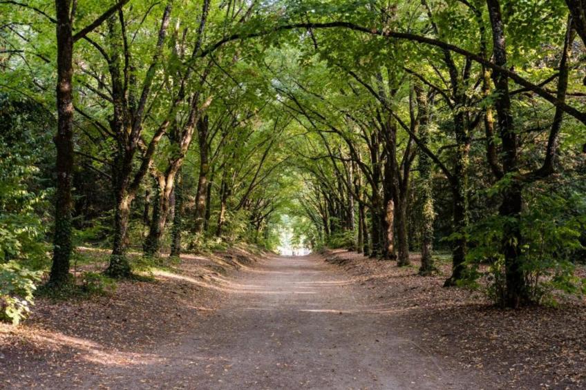 Les Sittelles - foto 39