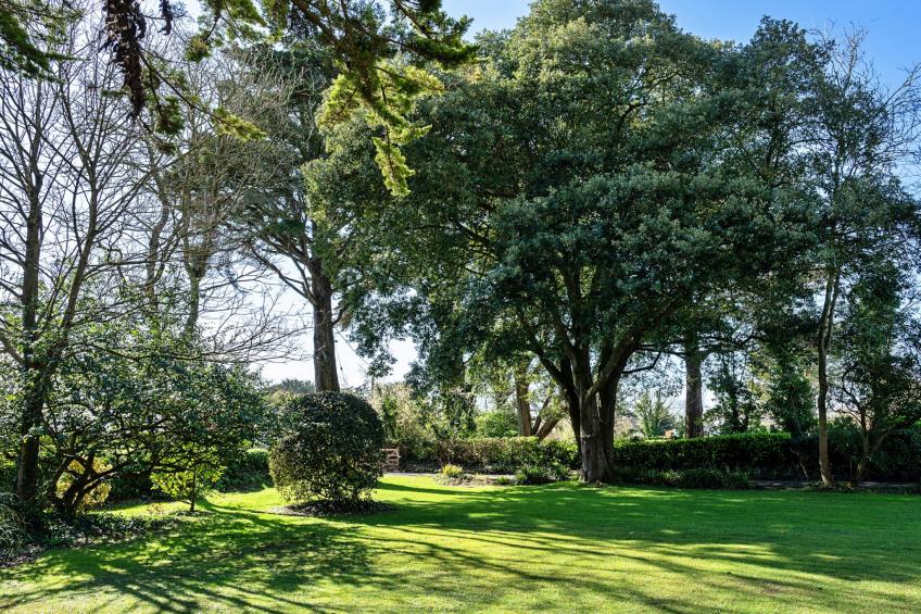 Sunny Nook - foto 25