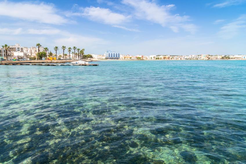 Rusciu Te Lu Mare Apartment - foto 21