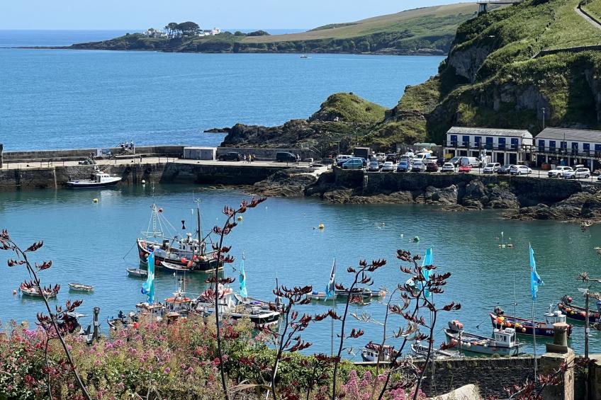 Cliff Cottage - foto 44