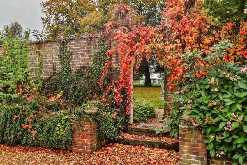 Walcot Hall - foto 62
