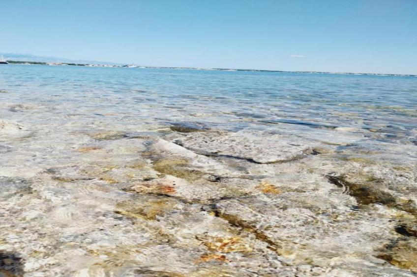 Resort More 5 - foto 38