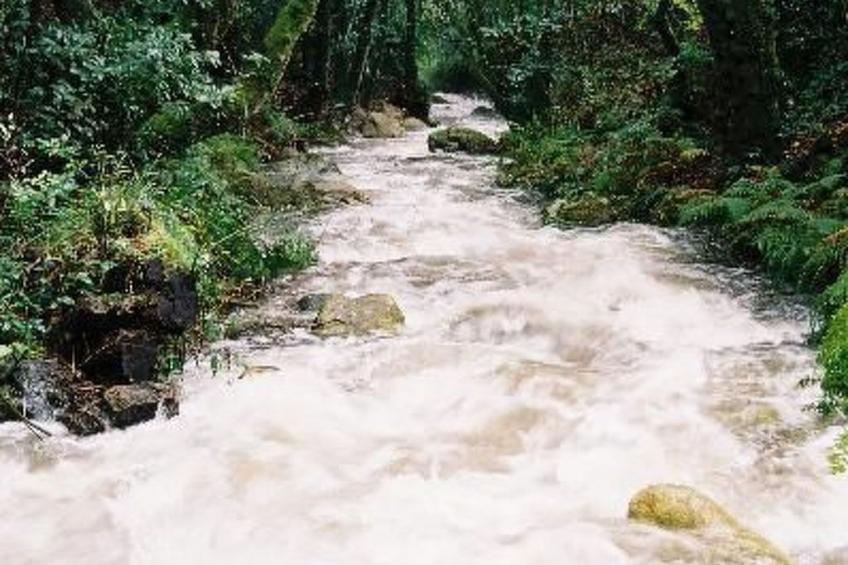 NATUR IN IHRER REINSTEN FORM - foto 20