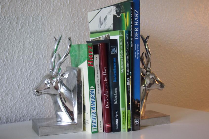 Gesamte Wohnung in Sankt Andreasberg mit Grill - foto 10