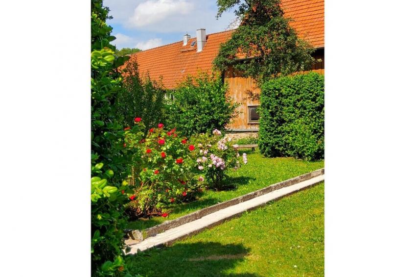 9053 - foto 3