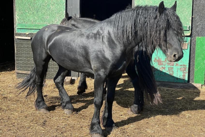 Dom wakacyjny z sauną i jacuzzi dla 2 osób Lubin - foto 20