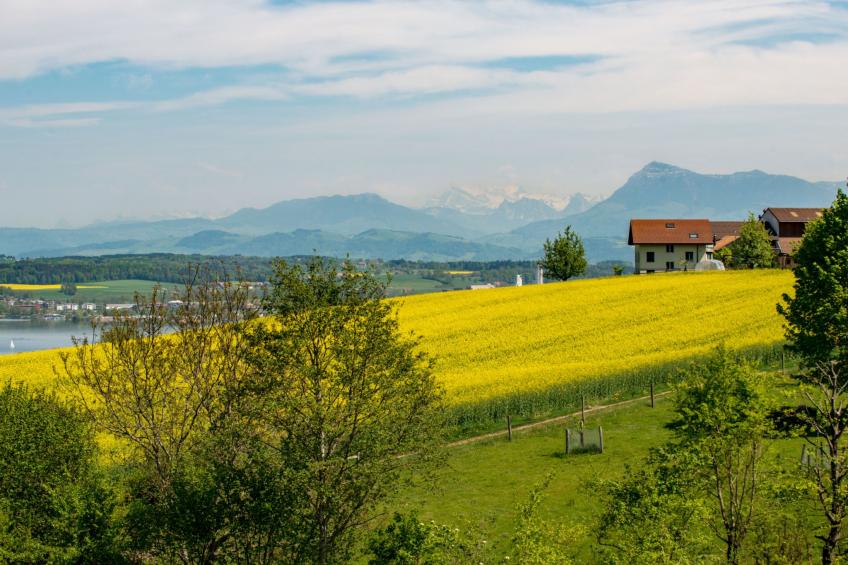 B&B Kohlweid Nottwil - foto 12